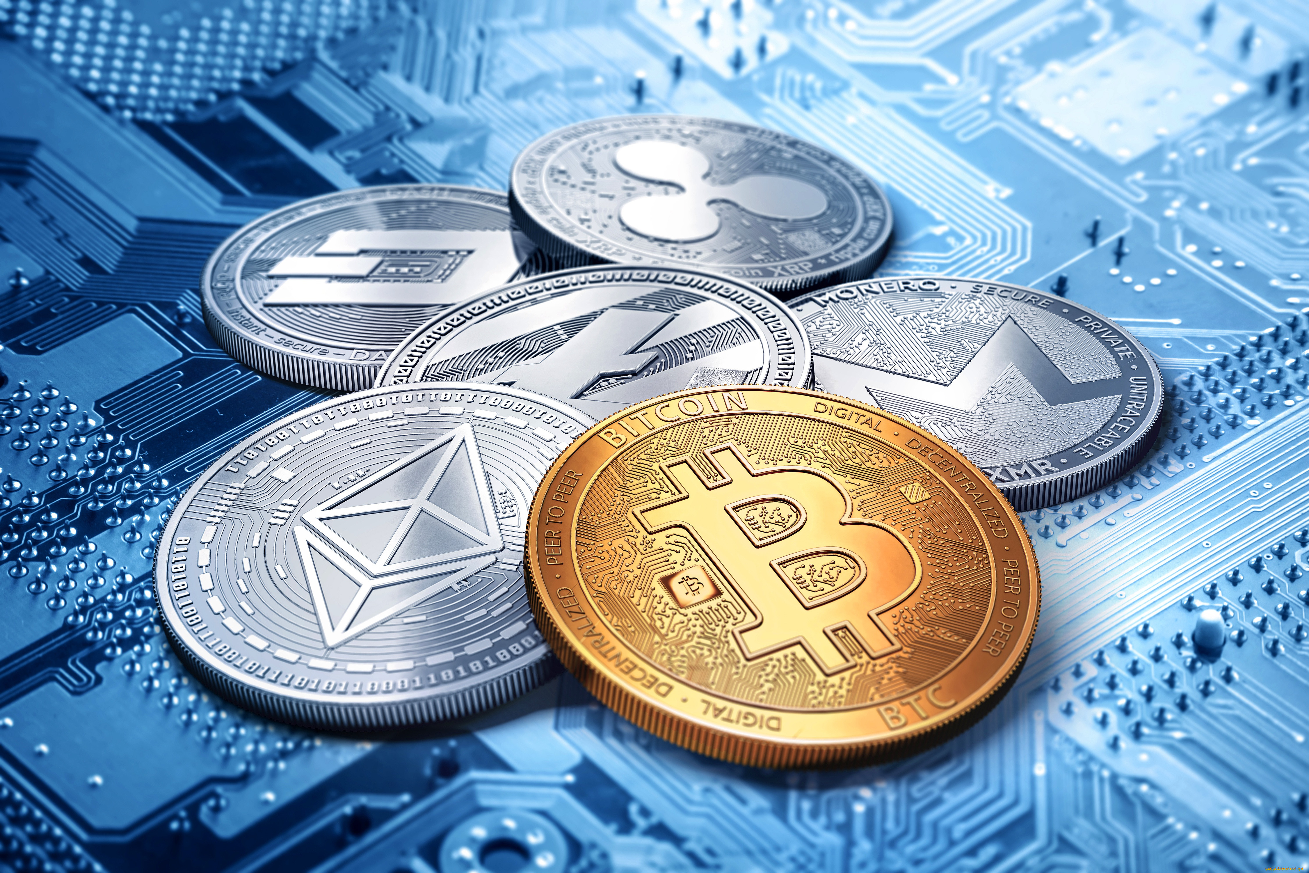Litecoin will pass bitcoin coin club crypto reddit